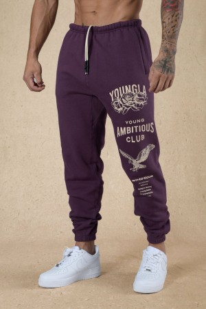 YoungLA 233 The Immortal Fall 22" Jogginghose Herren Lila | 502-CSADVM