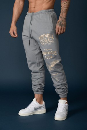 YoungLA 233 The Immortal Jogginghose Herren Grau | 915-OIAQNT