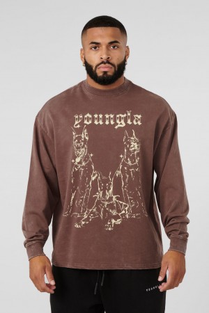 YoungLA 804 For All The Dogs Longsleeves Hemd Herren Braun | 057-KNCUTV