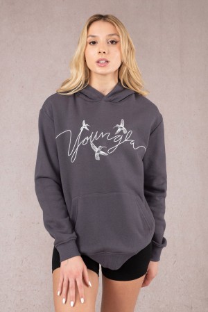 YoungLA W509 Hummingbird Oversized Hoodie Damen Dunkelgrau | 510-DLGPST