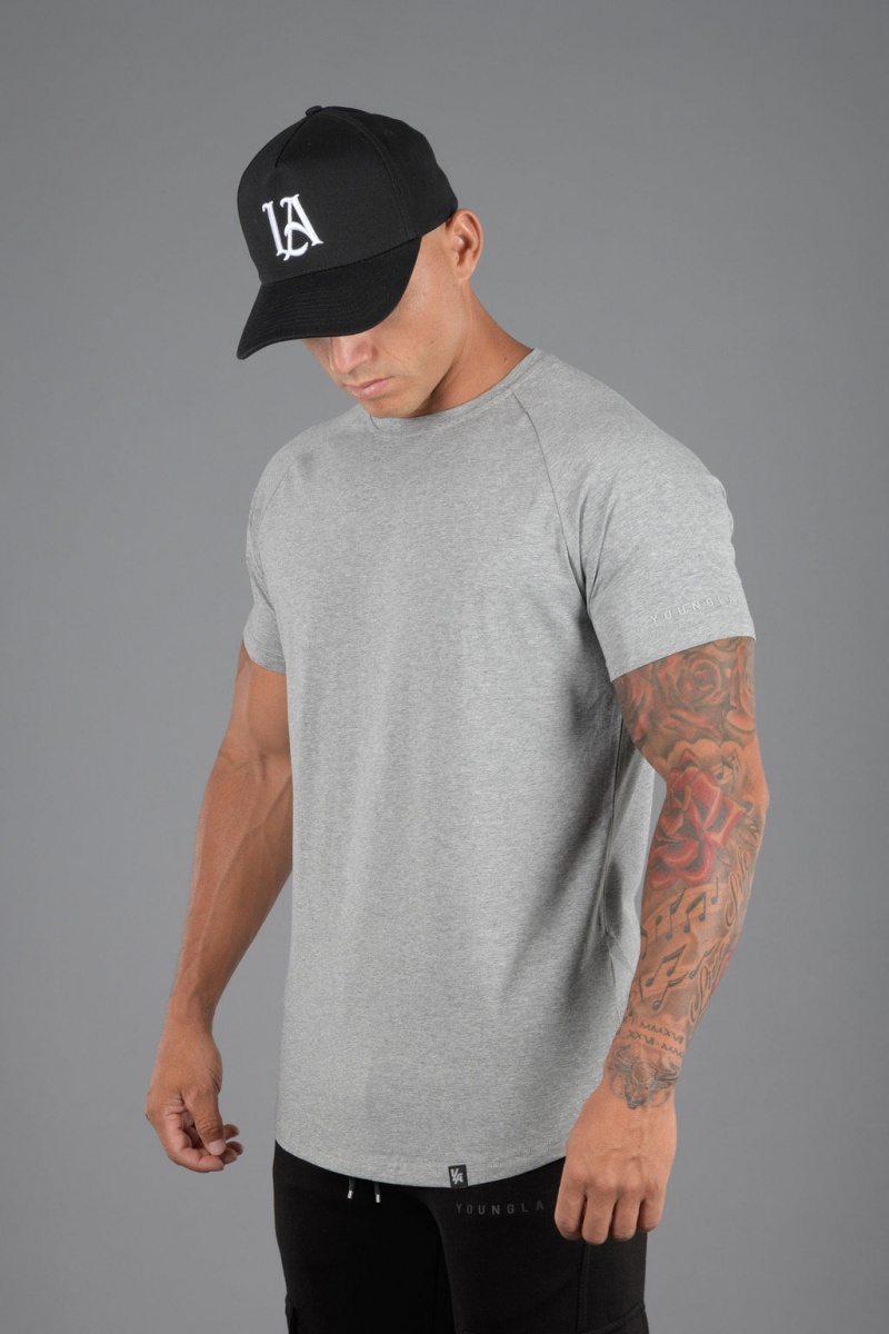 YoungLA 442 Ultimate Hybrid Tee T-shirts Herren Grau | 618-VMXCNP