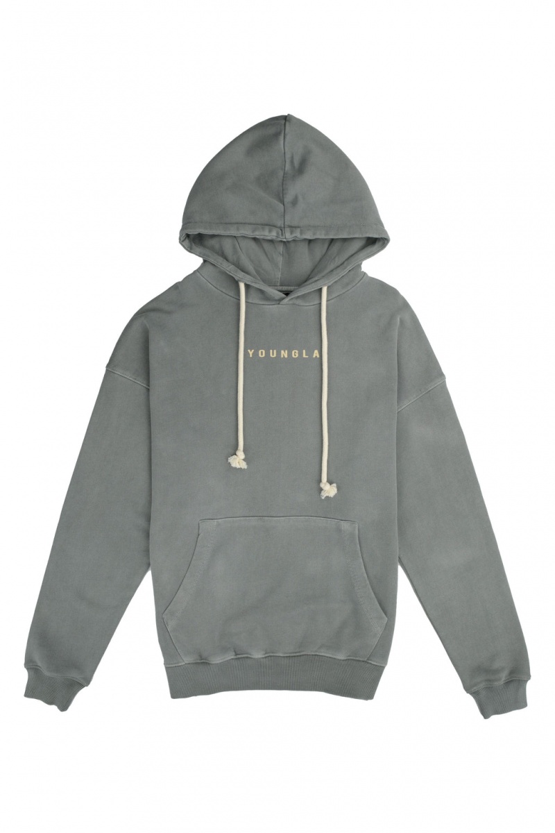 YoungLA 513 Skylines Hoodie Herren Grau | 460-QIZFDV