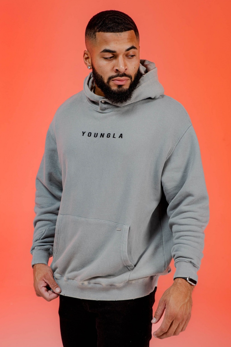 YoungLA 535 Monarch Pullovers Hoodie Herren Grau | 395-JWCSYZ